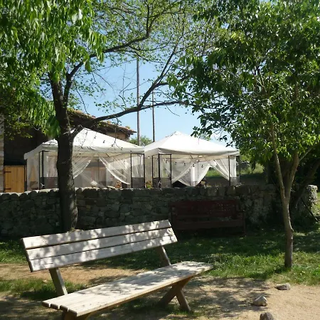 Fiol Masia Holiday home *